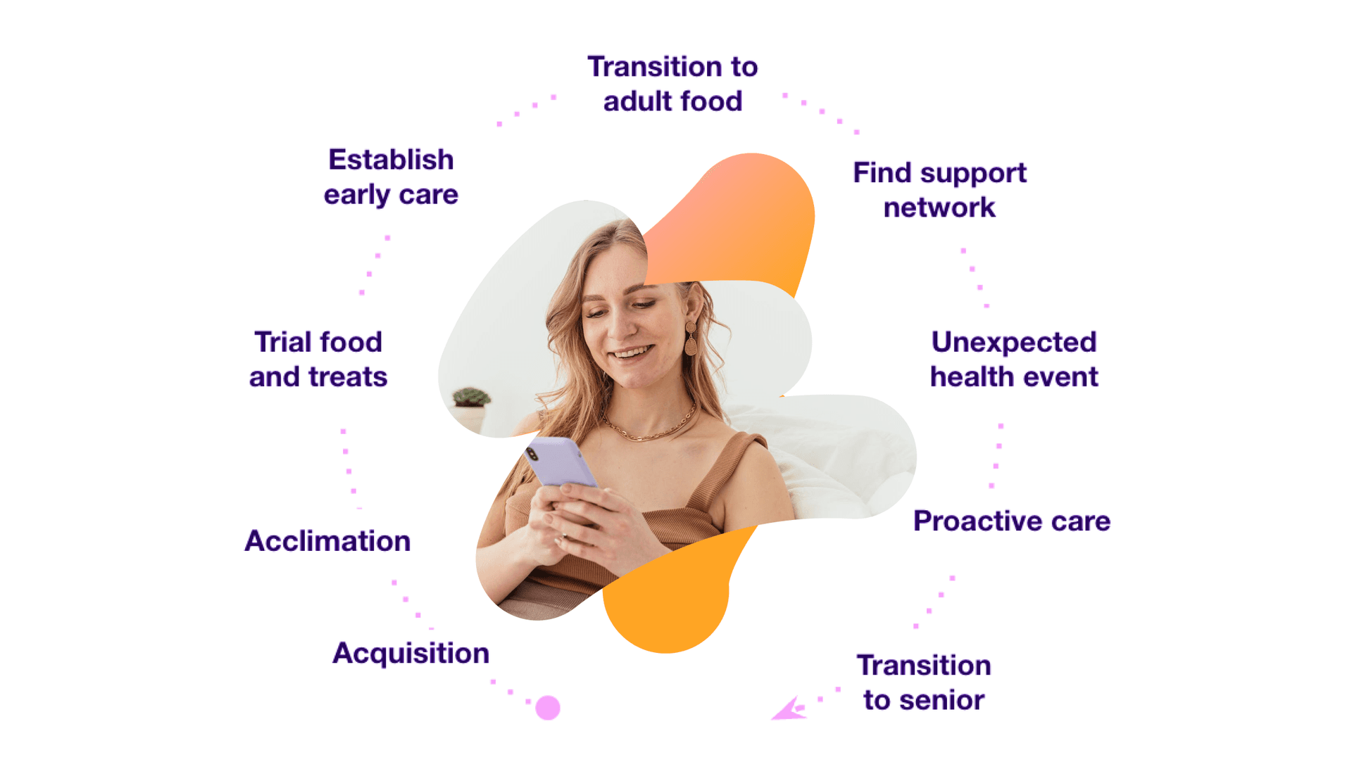 a diagram showing the stages of transition to adult food